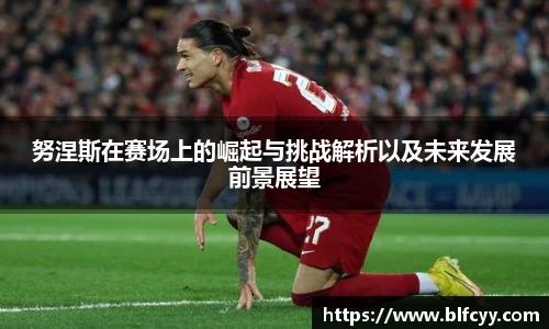 努涅斯在赛场上的崛起与挑战解析以及未来发展前景展望
