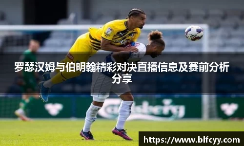 zoty中欧官方网站